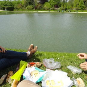 garden picnic